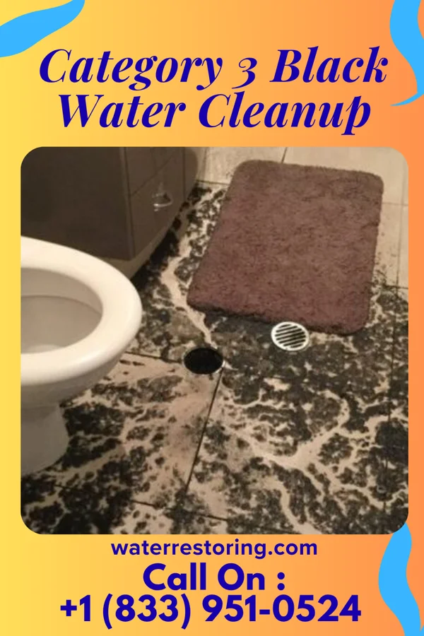 Category 3 Black Water Cleanup in Canan Station, PA