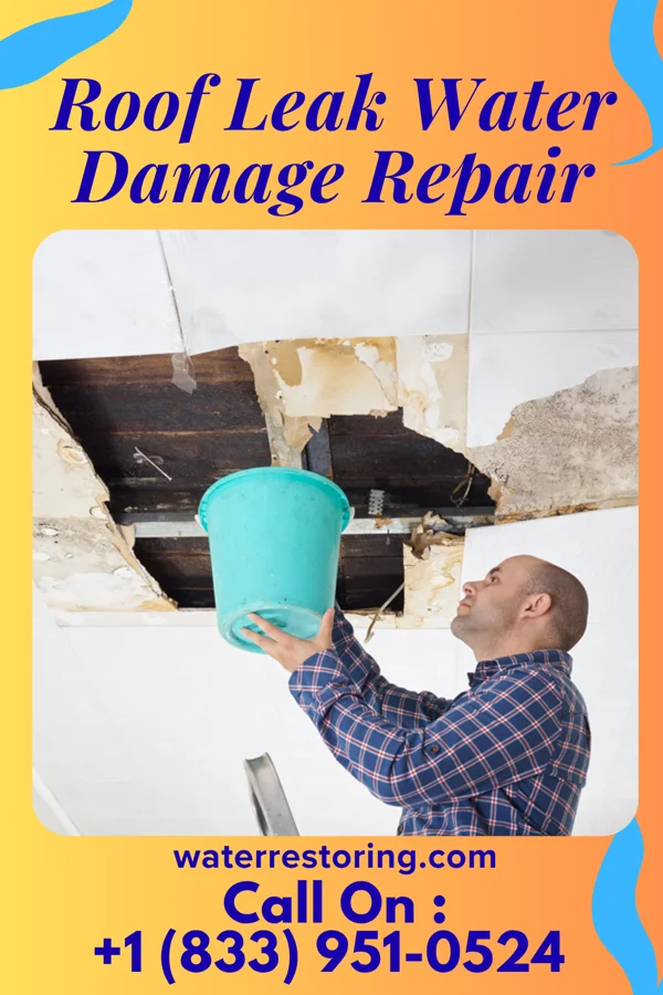 Roof Leak Water Damage Repair in Canan Station, PA